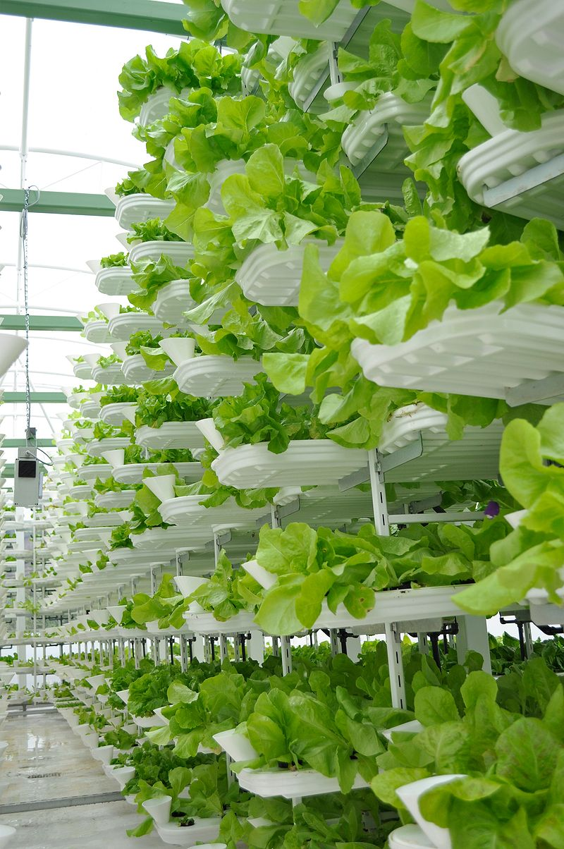 Illustration for article titled How Vertical Farming is Revolutionizing the Way We Grow Food